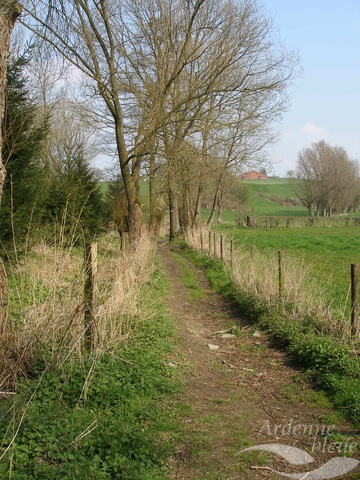 PAYS - Santier